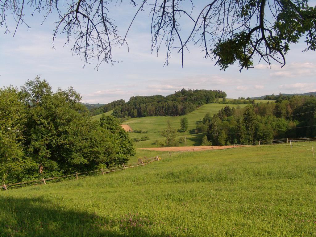 Ferienwohnung Mörlenbach Exteriör bild