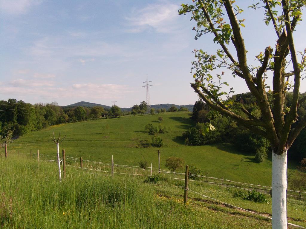 Ferienwohnung Mörlenbach Exteriör bild